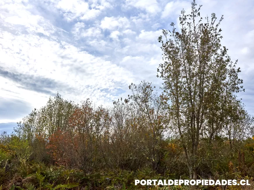 Venta en Puerto Montt | Parcelas Altos del Valle